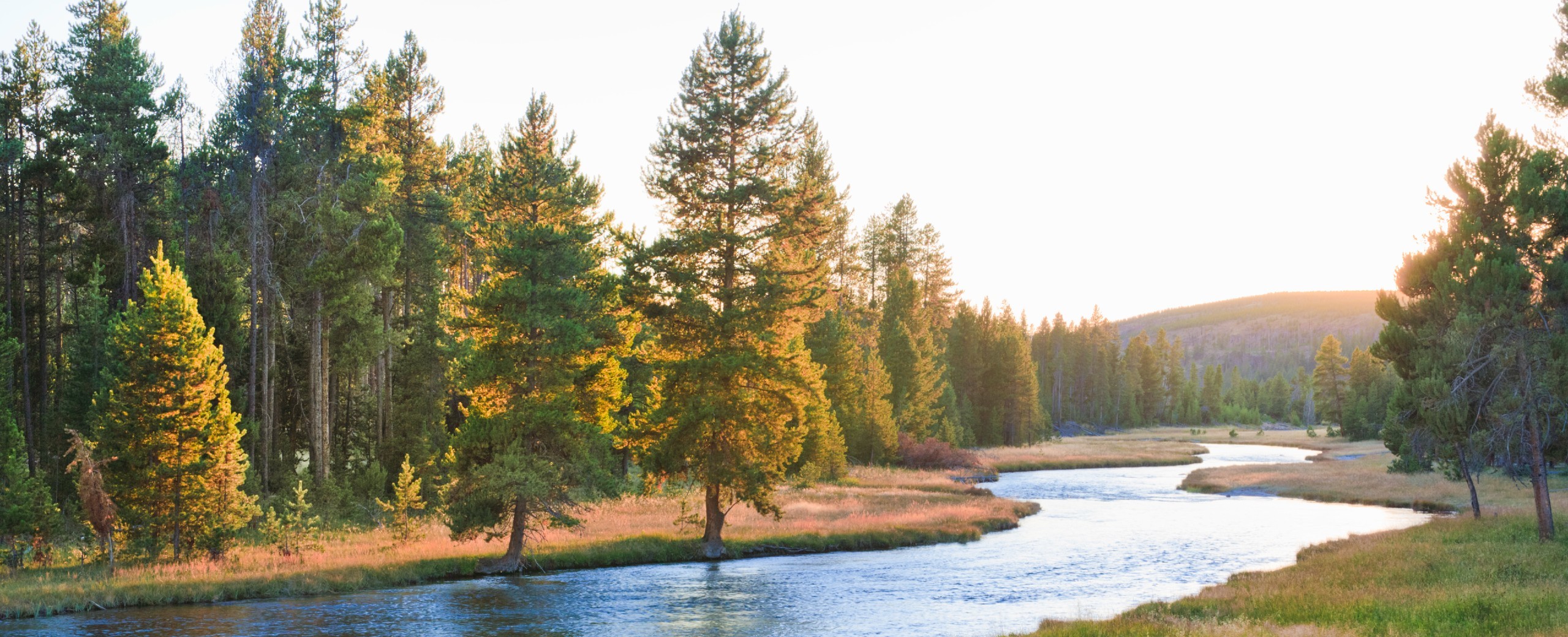 Art Therapy Madison WI Psychotherapy Couples Counseling