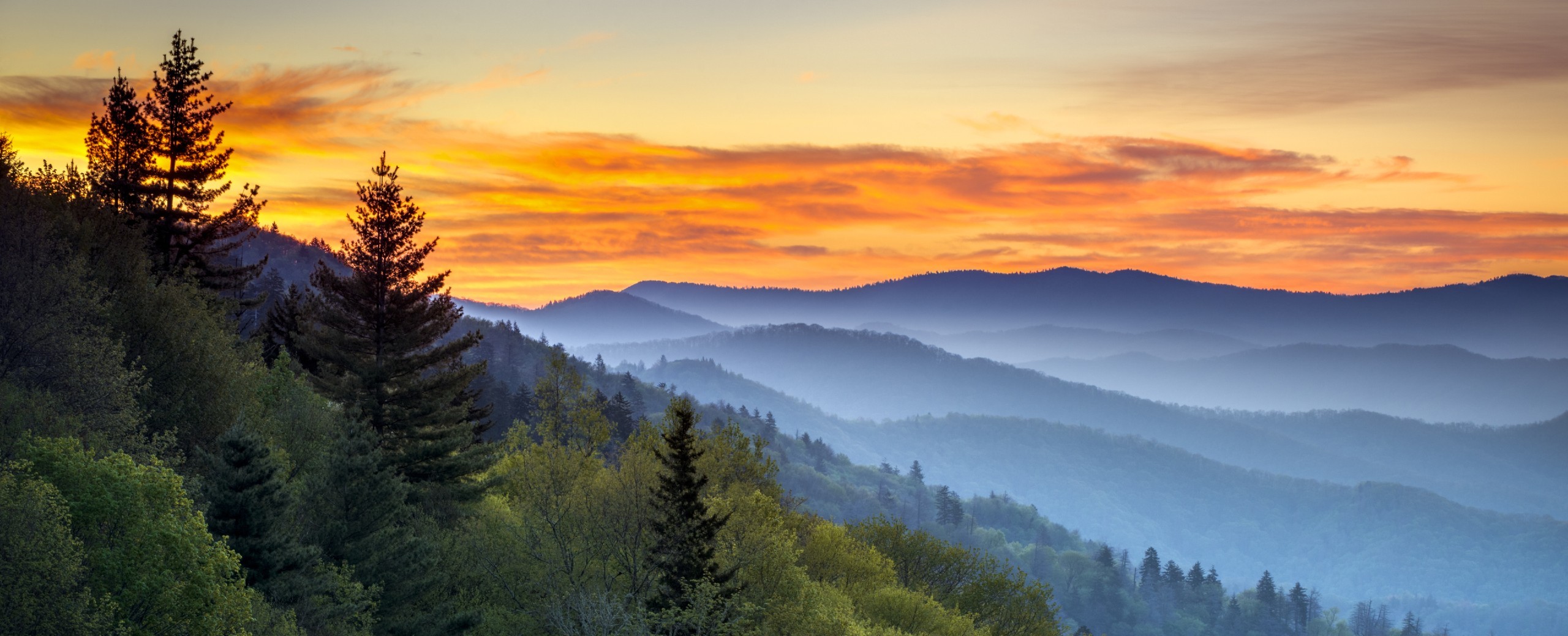 Art Therapy Psychotherapy Madison WI Life Coach OSM