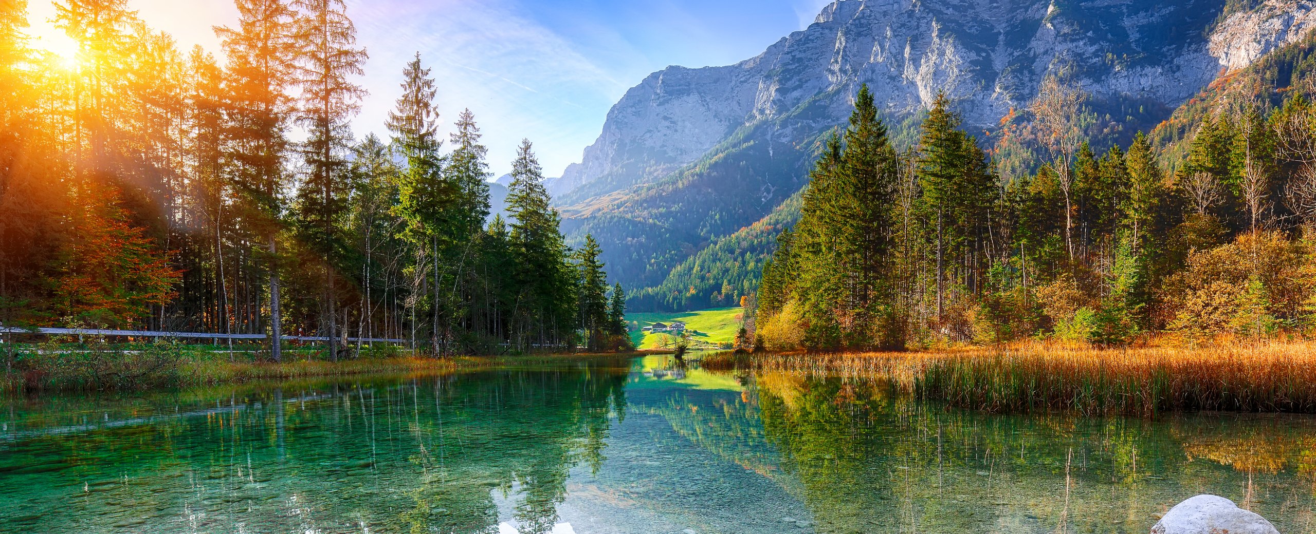 Counseling Madison WI Psychotherapy Life Coach Fees