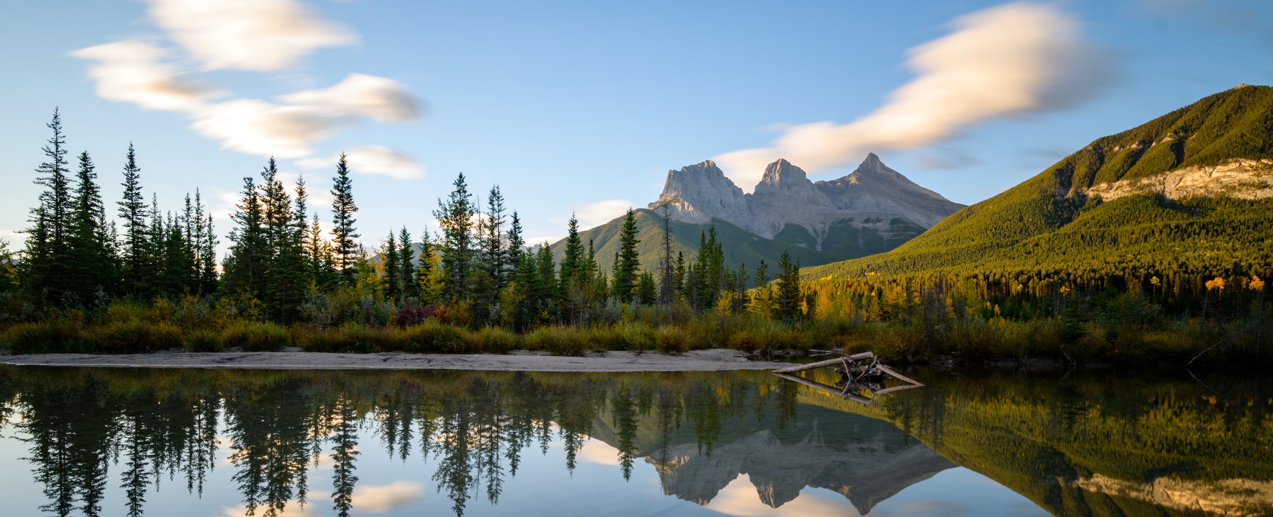 Psychotherapy Madison WI Art Therapy About Sara