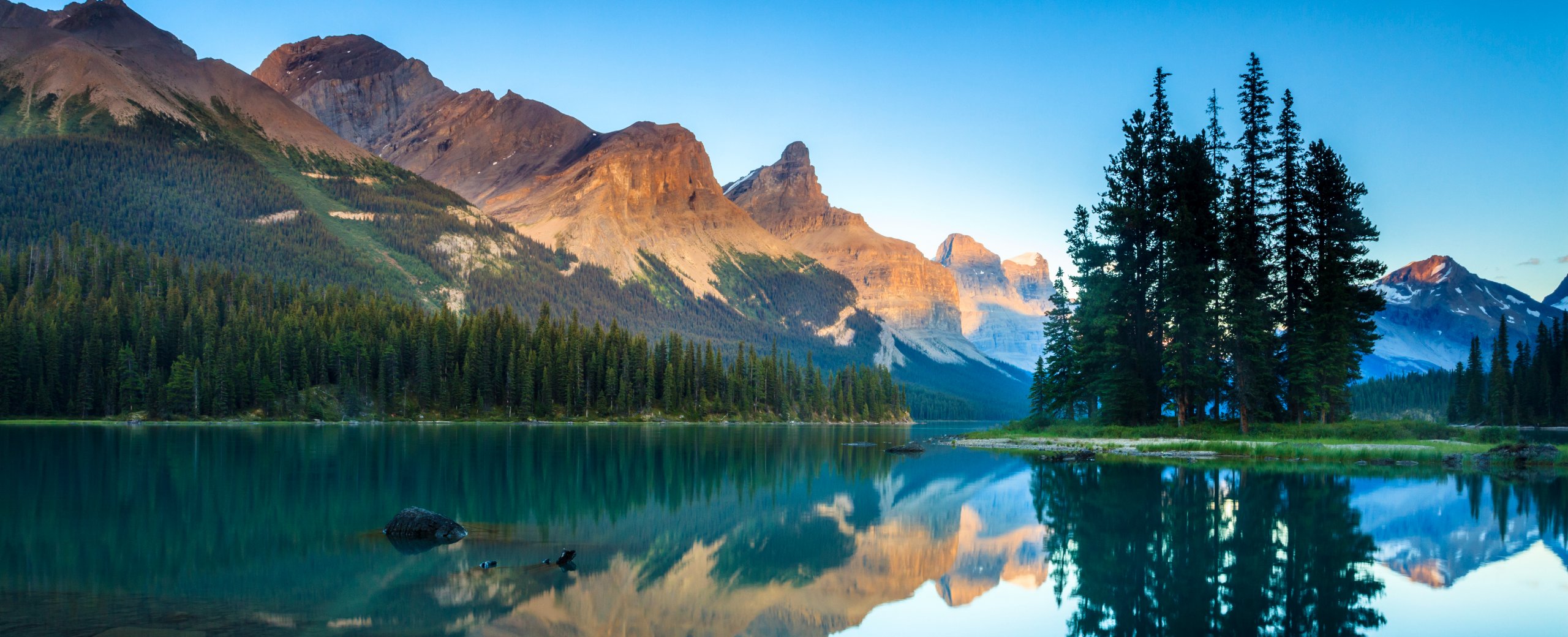 Psychotherapy Madison WI Therapy Couples Counseling