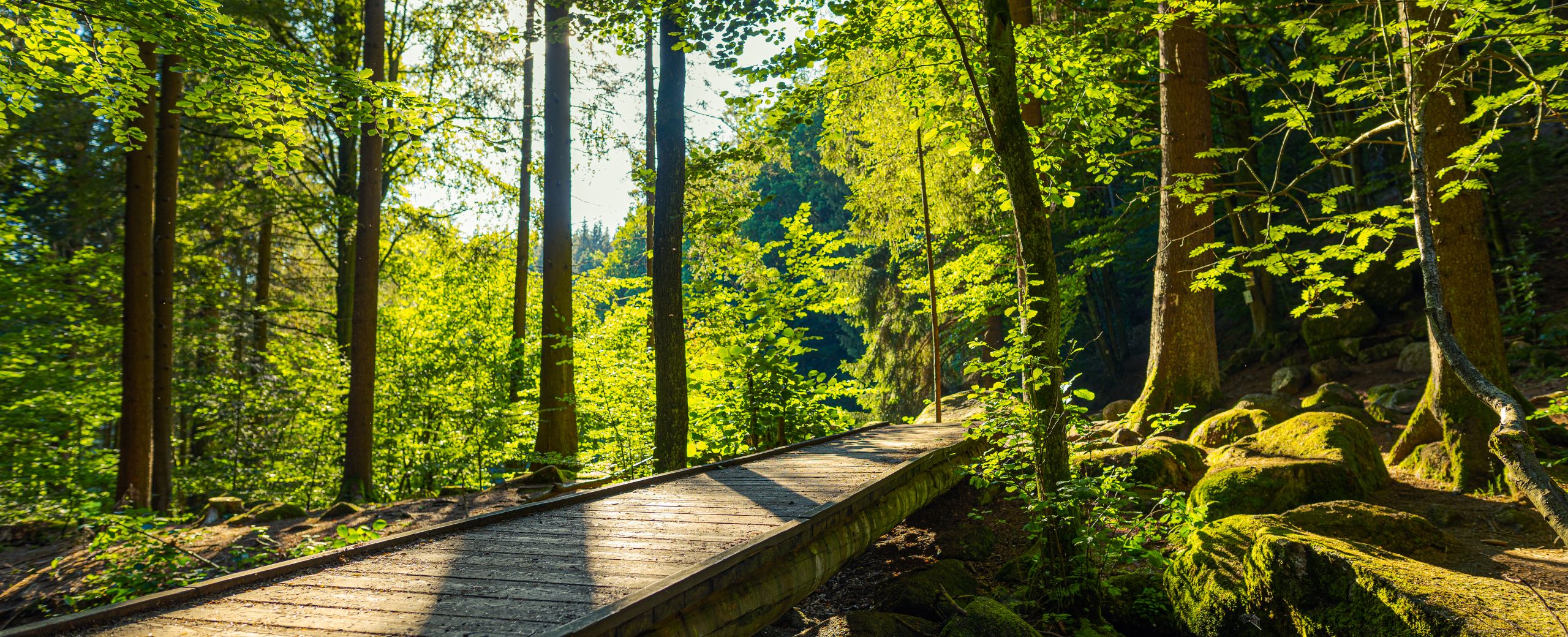 Schedule OSM Therapy Madison WI Counseling