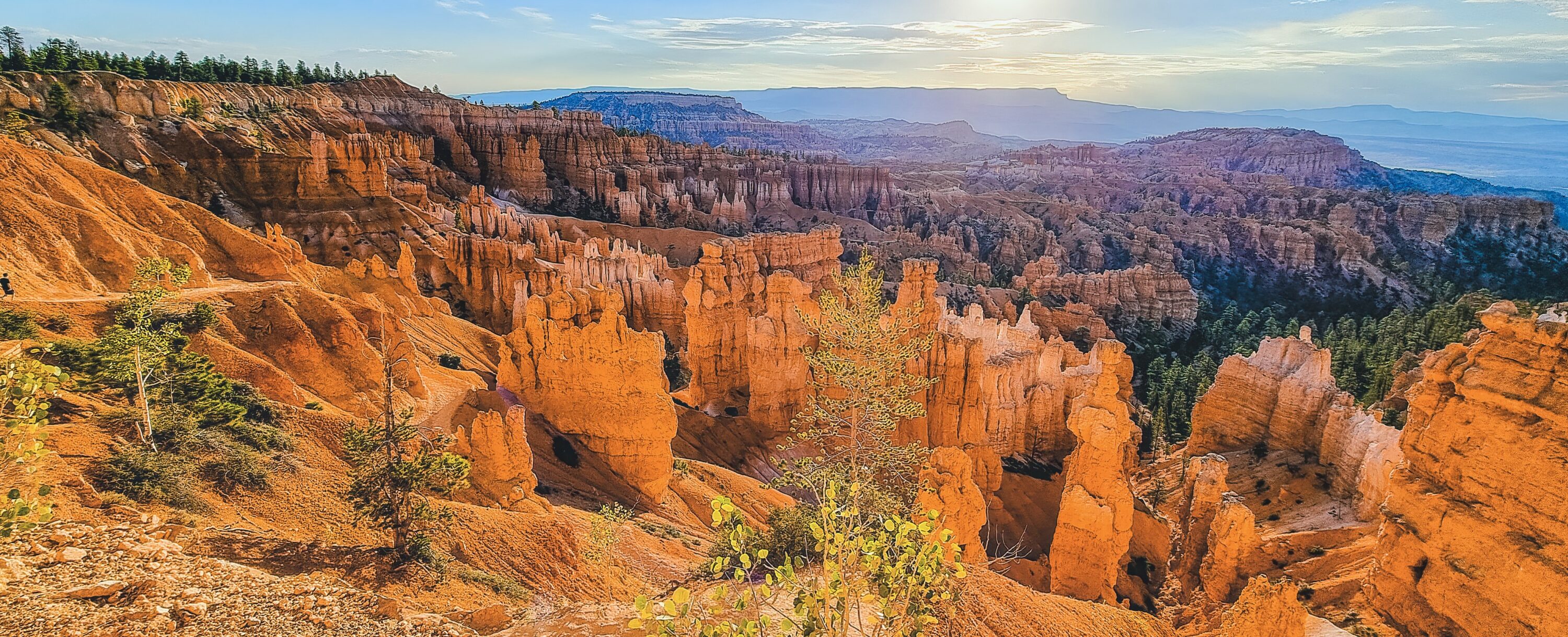 Psychotherapy Madison WI Art Therapy About Candace