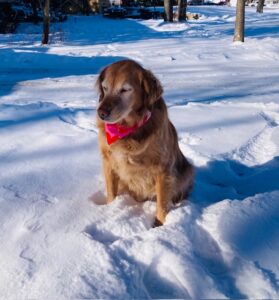 Art Therapy Madison WI Counseling Bailey Breathe