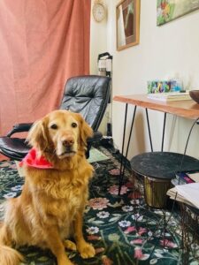 Counseling Madison WI Art Therapy Bai Paying Attention